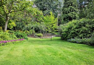Optimiser l'expérience du jardin à Montceaux-l'Etoile